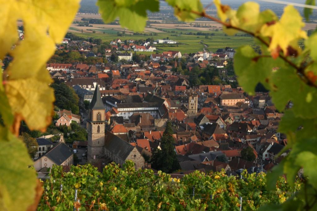 Domaine Jean Sipp *